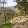 Guests hiking along a trail on Mont Faron, a mountain in Toulon, France